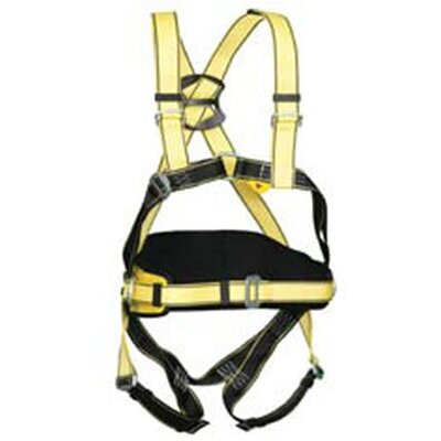 Harness Four Point Quick Connect Yale