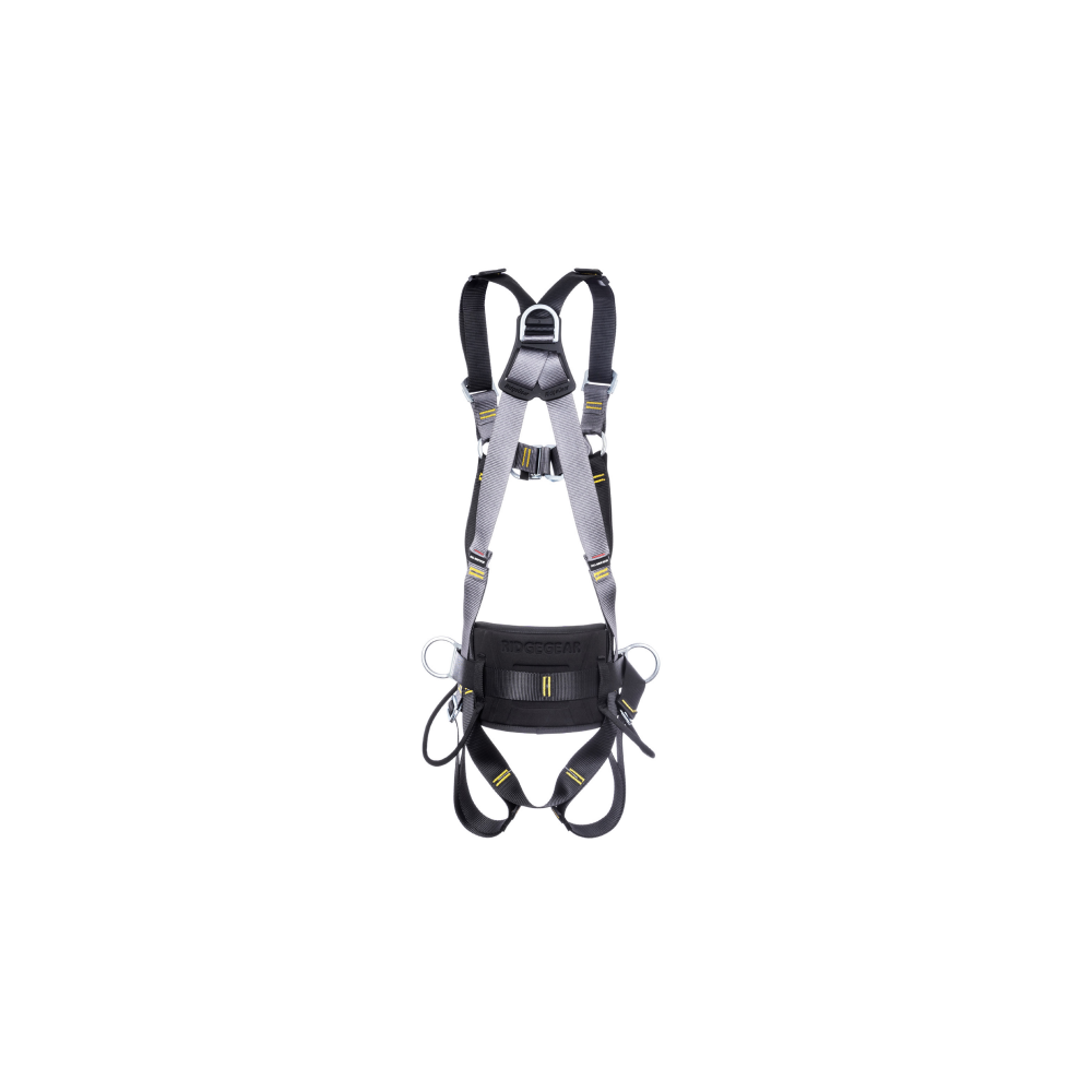 Harness RGH4 back view