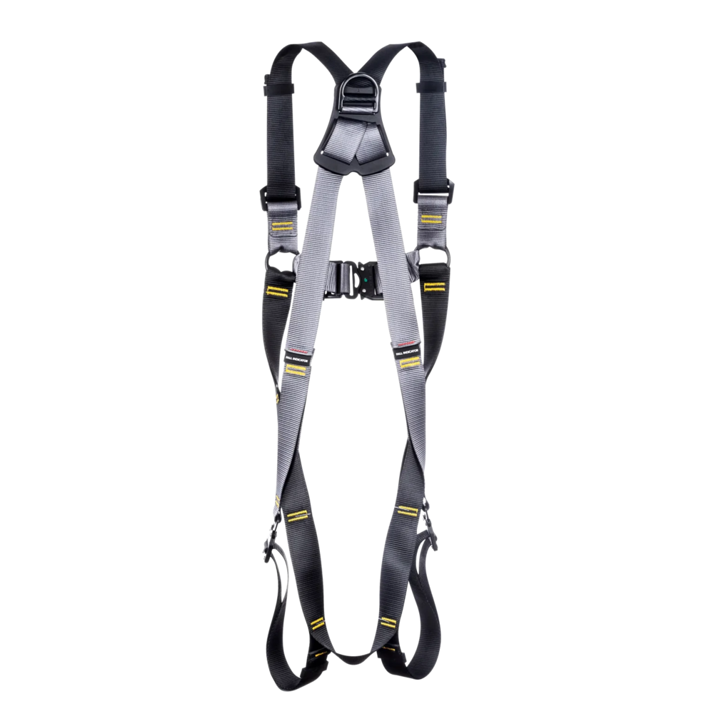 RGH2 Two Point Fast Fit back