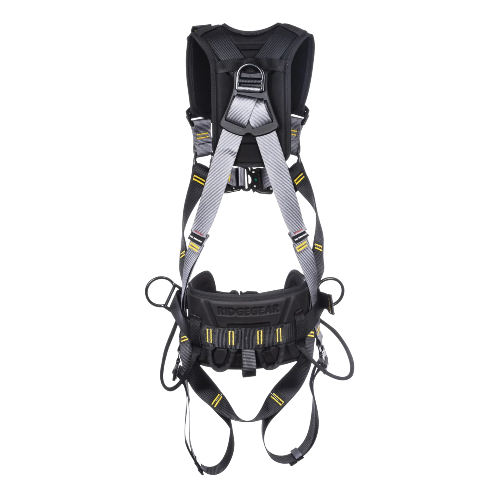 Harness RGH6 back Harness RGH6 back