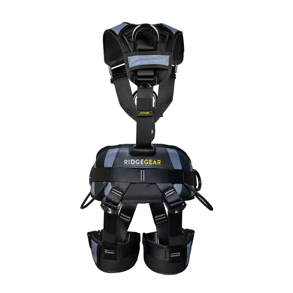 Harness RGH7 back