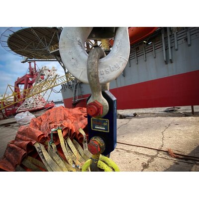 Crane Scale Radiolink Plus