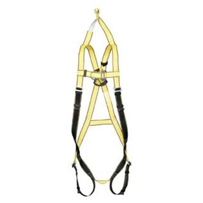 Rescue Harness